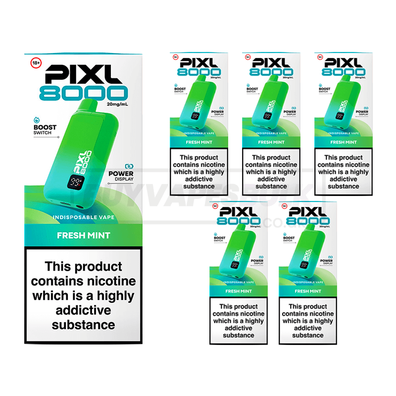 Fresh Mint Pixl 8000 Prefilled Vape Kit 5 Pack