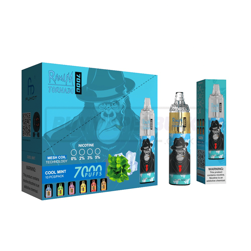 Cool Mint RandM Tornado 7000 Disposable Vape 10 Pack