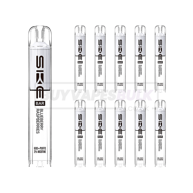 SKE Bar Original 600 Prefilled Pods 10 Pack Blueberry Raspberries